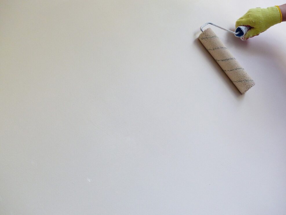 Peinture velours : un complément remarquable pour votre intérieur